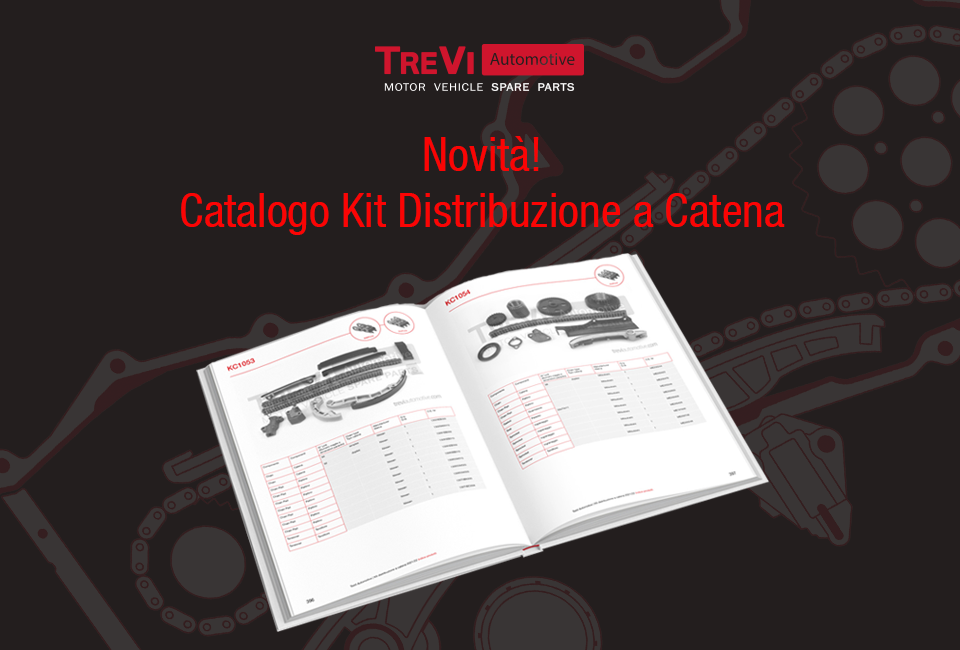 Kit distribuzione a catena